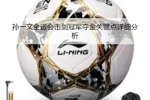 孙一文全运会击剑冠军夺金关键点详细分析